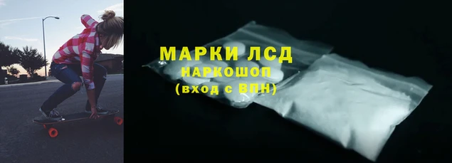 PSILOCYBIN Елизово