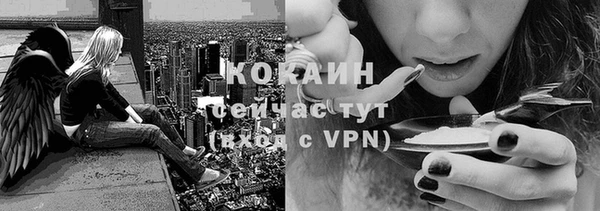 PSILOCYBIN Елизово